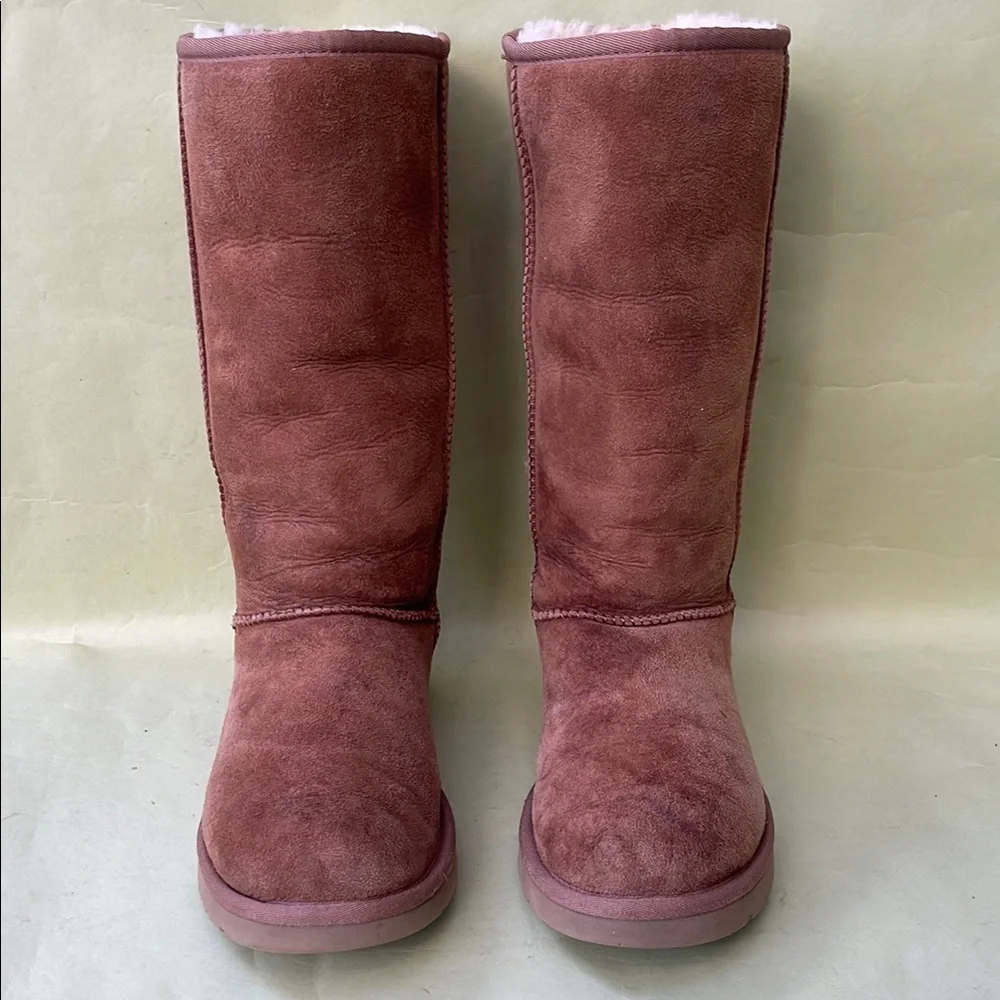 UGG Light Brown Winter Boots Plush Suede